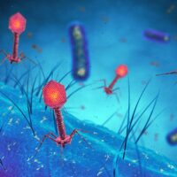 Vésale Bioscience sacrée start-up la plus innovante d’Europe en sciences de la vie