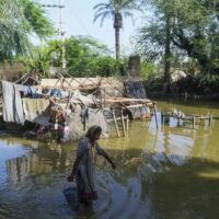 Pakistan : Les sinistrés des inondations du mois d’août en proie à la maladie et à l’insécurité alimentaire