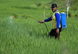 Pesticides interdits en Europe : une exportation massive vers l’Afrique et un retour inquiétant dans les assiettes européennes