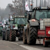 Mercosur : après le vote des eurodéputés pour la saisine de la justice européenne, les agriculteurs wallons réorientent leur action