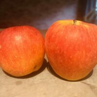 Des pommes européennes contaminées par des cocktails de pesticides