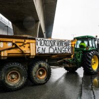 Les agriculteurs wallons sont remontés contre l’application provisoire de l’accord du Mercosur